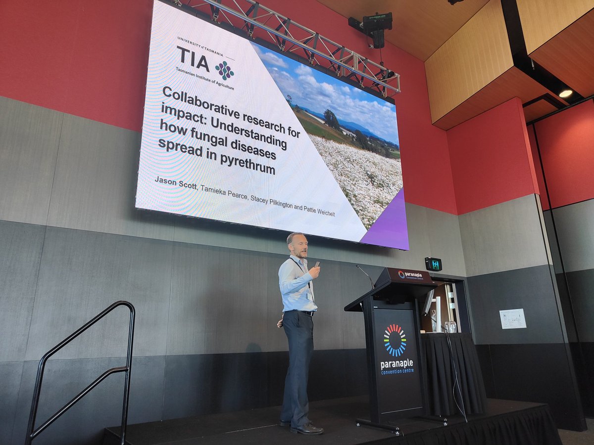 <a href="/TasInAg/">TIA</a>'s Jason Scott presenting at #cirrc2022 on fungal disease in #pyrethrum