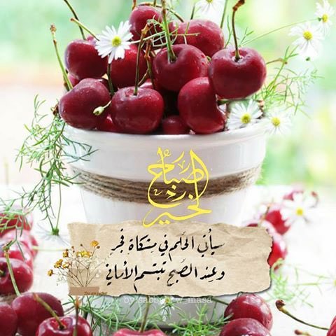 nwalalanaze's tweet photo. وعند الصبح تبتسم الأماني https://t.co/o5hbxEosdl