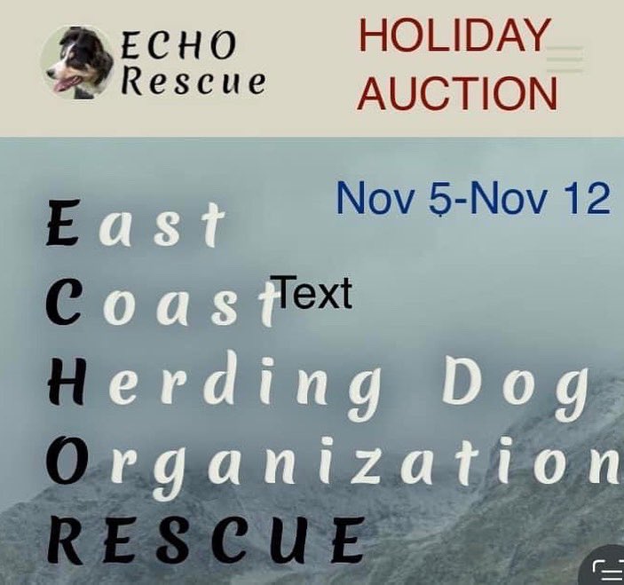 ToniToddHB's tweet photo. Join us on Facebook for @echorescue Howliday Auction! These are a few of the pups ready for furever and the newest foster who happy to be finally getting healthy! https://t.co/DghKUE3x3j https://t.co/VNES1uTTTv