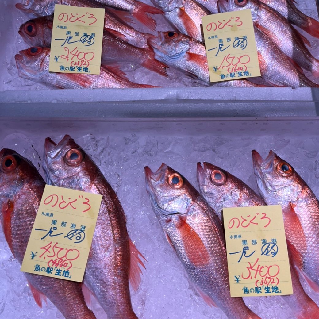 魚の駅 生地 送料無料で富山湾のとれたてを食卓にお届け Toretatekan Twitter