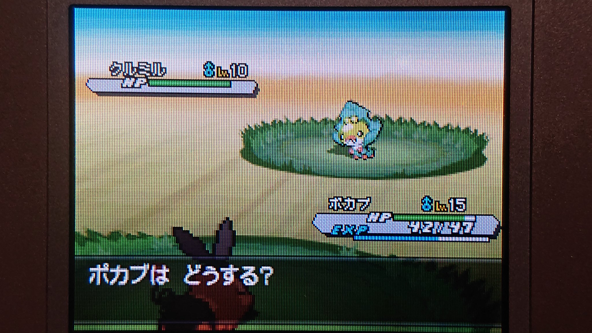 ˏˋksyta ˎ Shkouta Twitter