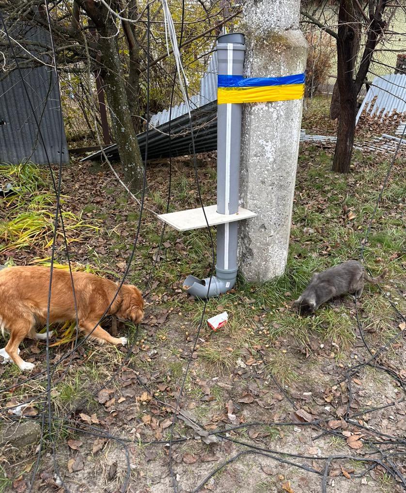 ESB52 on Twitter "RT natemook New pet feeding stations installed in