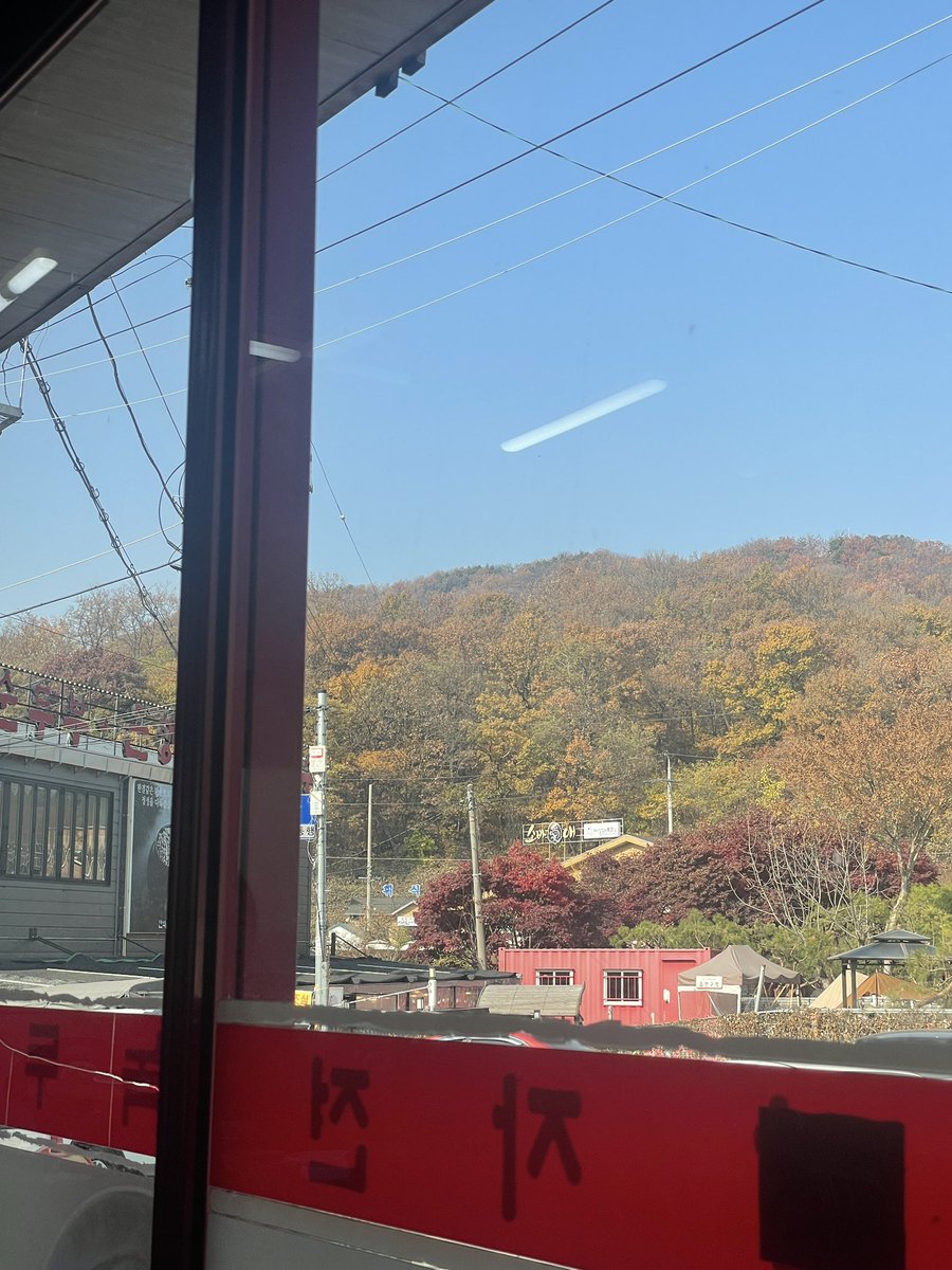 단풍구경 하러 산에 왔는데ㅋㅋ
산은 눈으로 타고 목은 막걸리를 원하죠
아 미쳤다 너무 맛있네….진심…. 
#매우진지함