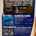 ツイートに含まれる画像