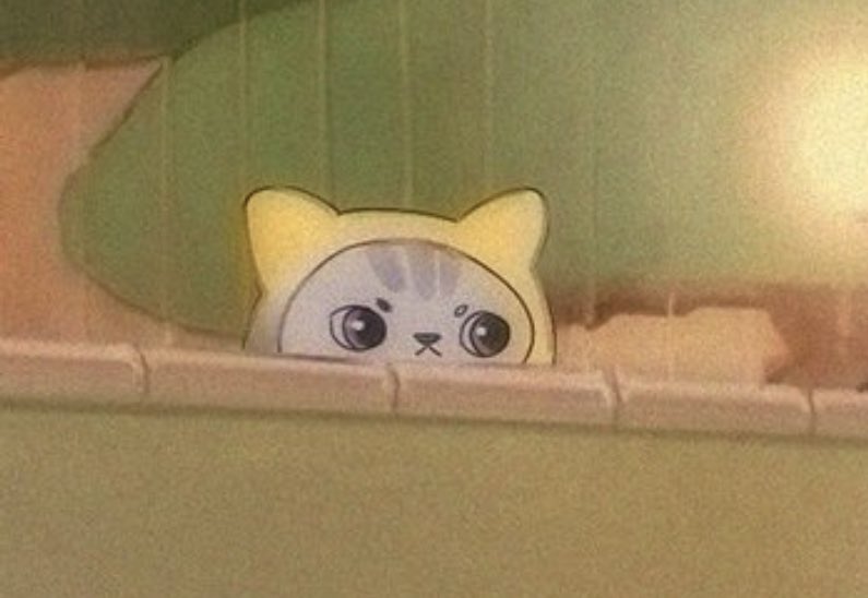 Big D on Twitter: "@CL207 Love YOU fren cat https://t.co/ZUTxBq6hPr ...