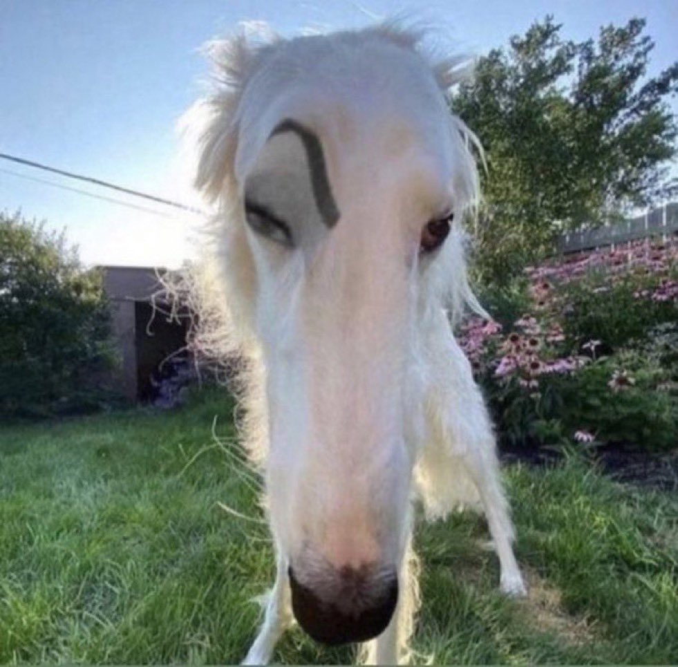 itsonlyone_lyn's tweet photo. @DojaCat @elonmusk You cussed that man out for “fart”?! Bye. https://t.co/bZ1XhAKupr