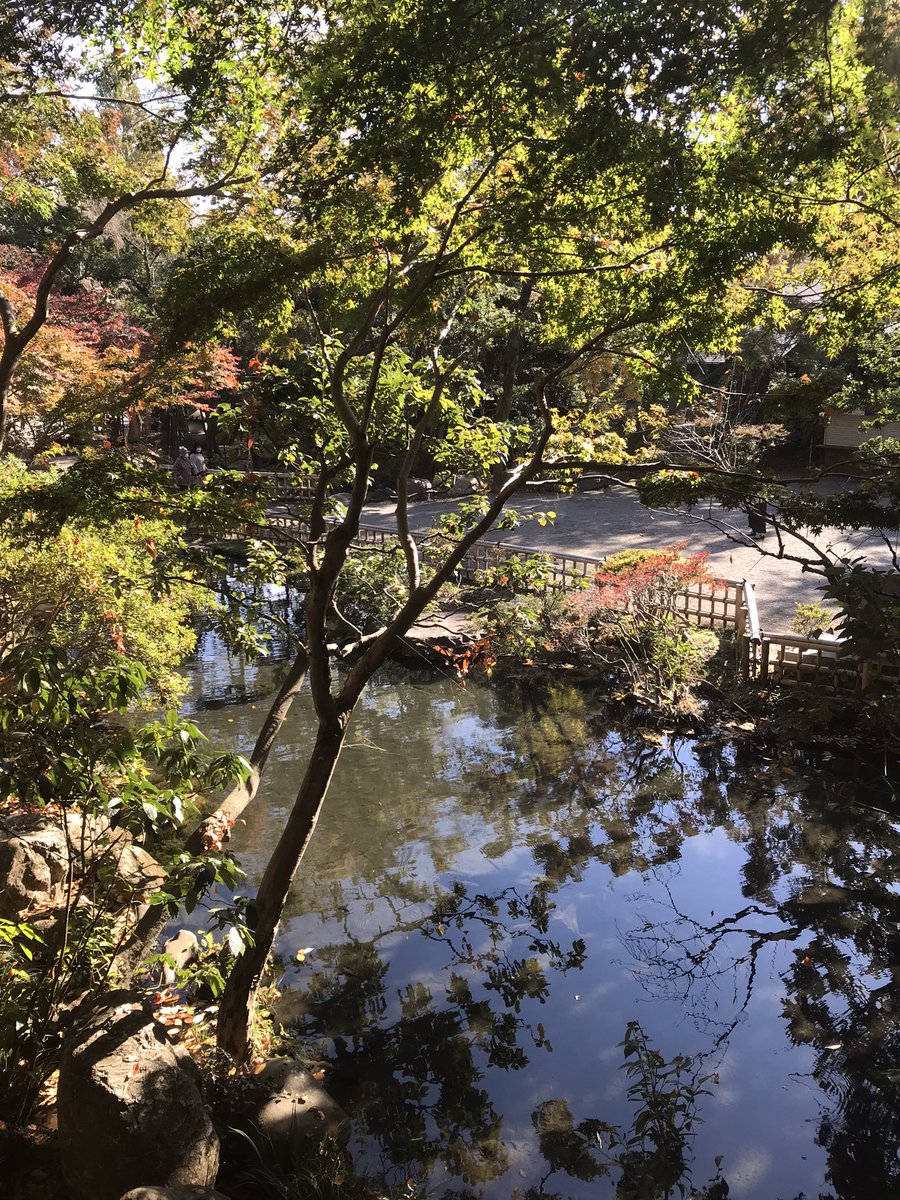 「うぽって が脱稿したので深大寺で蕎麦を頂く。 」|天王寺キツネ　手を洗うおかっぱ好き漫画家のイラスト