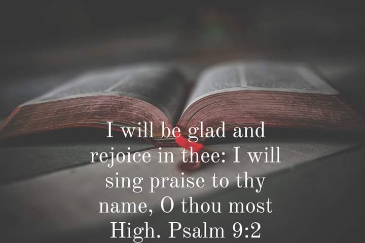 Tracy Killinger 🇺🇸 tweet media