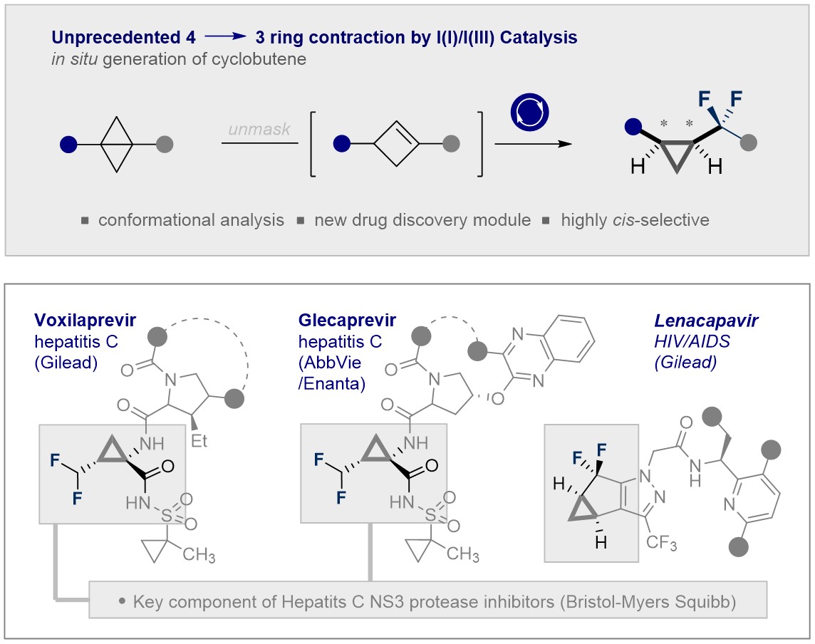 Congratulations @Keith_l939, Kathrin, <a href="/steph_meyer16/">Stephanie Meyer</a>, Victor &amp; <a href="/GDaniliuc/">Constantin G. Daniliuc</a>! Skeletal Ring Contractions via I(I)/I(III) Catalysis: Stereoselective Synthesis of cis-α,α-Difluorocyclopropanes just published open access in <a href="/ACSCatalysis/">ACS Catalysis</a>! @WWU_Muenster <a href="/ERC_Research/">European Research Council (ERC)</a> <a href="/AvHStiftung/">Humboldt-Stiftung</a>
