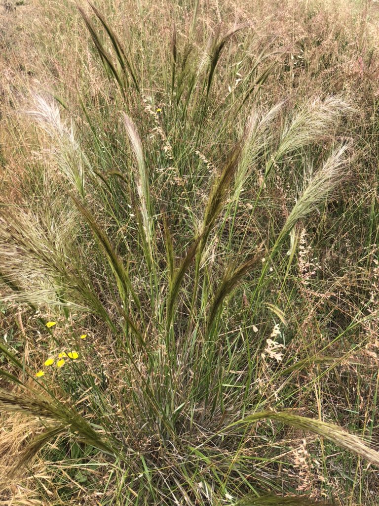 Andrew Ridgway tweet media