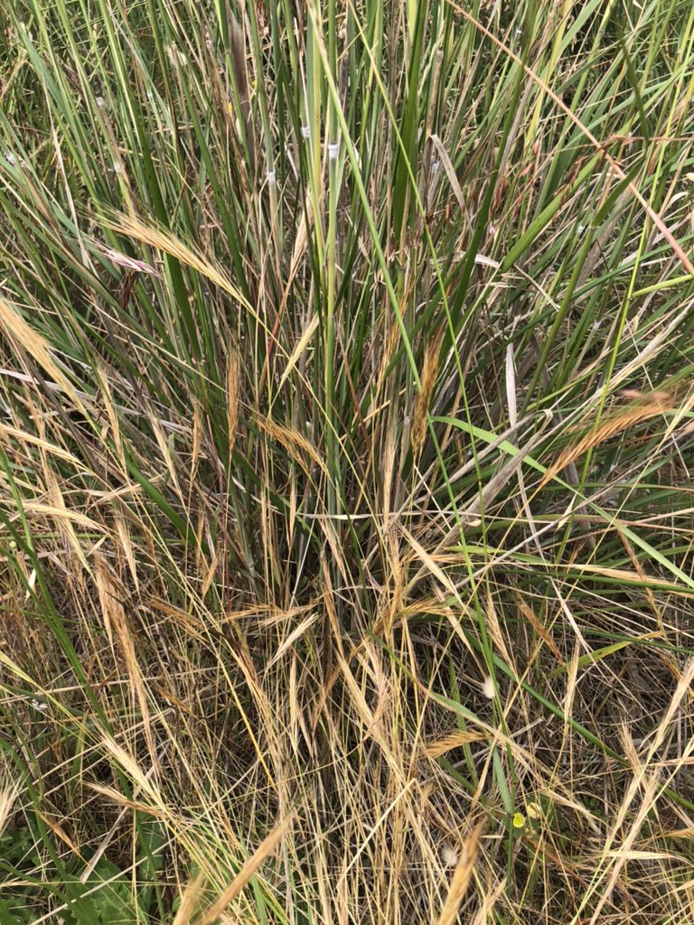 Andrew Ridgway tweet media