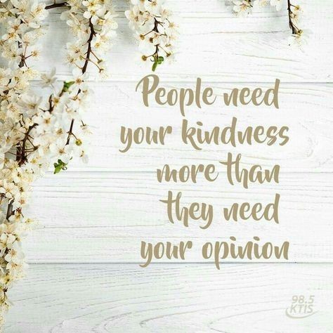 @Kekimuri_🌻 tweet media