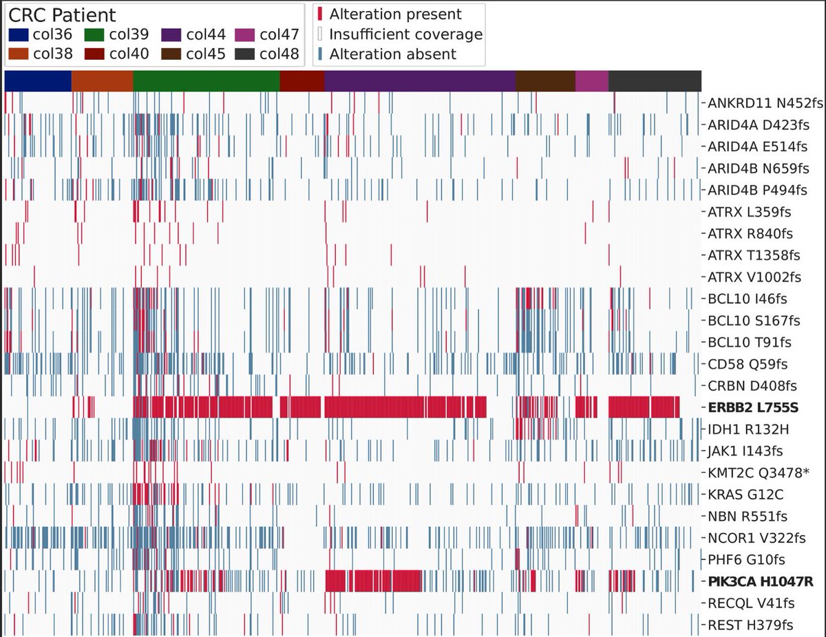 BioDecoded's tweet photo. Variant calling enhances the identification of cancer cells in single-cell RNA sequencing data | PLOS Computational Biology
https://t.co/8rug1uOcSt

#Bioinformatics https://t.co/71Uquy010O