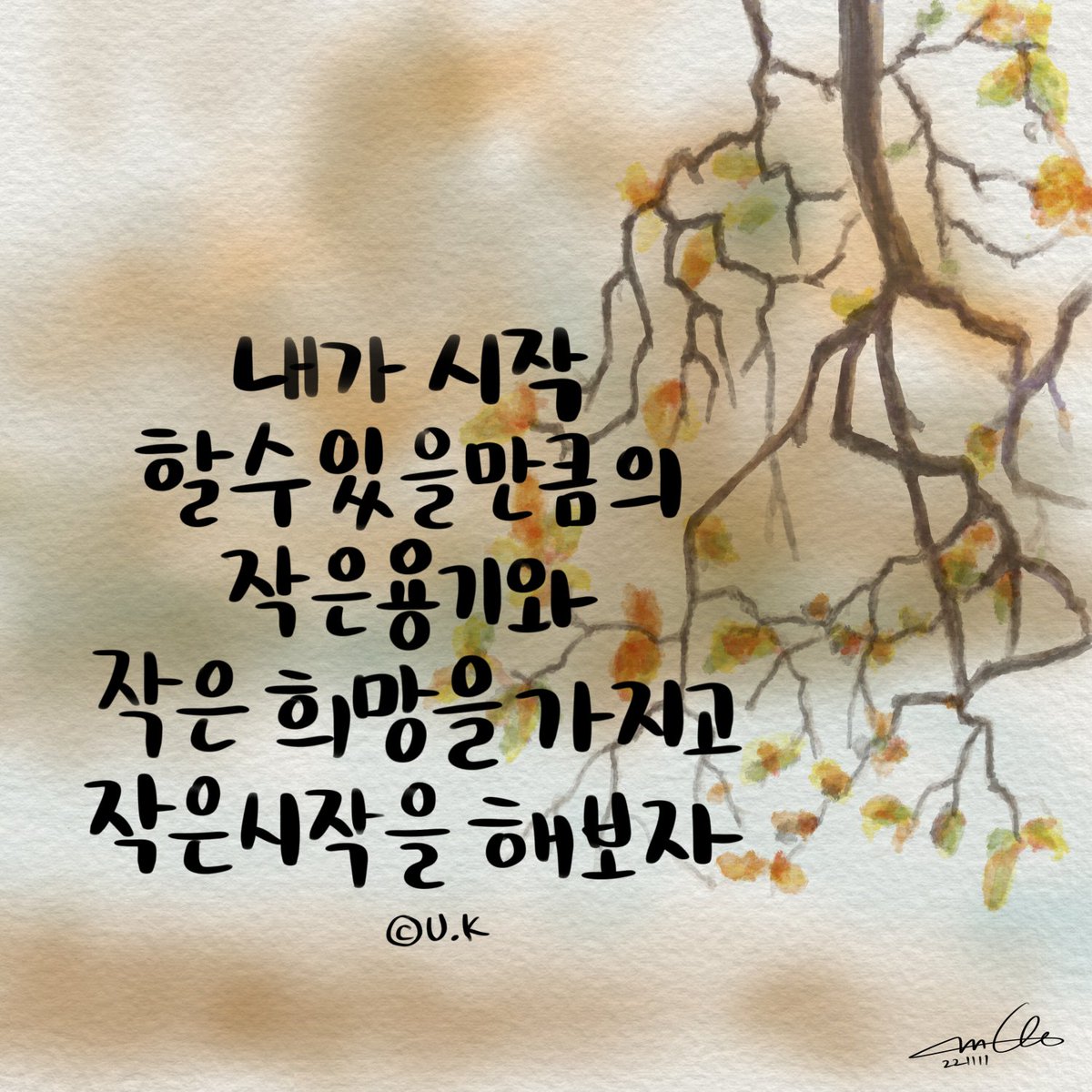 🦋라디샤🦋 tweet media