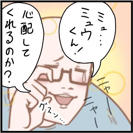 虫歯が痛すぎて眠れない男性 猫の行動に「笑った」「めちゃくちゃ分かる」 https://t.co/ZzGfCrakWi @grapeejpより 