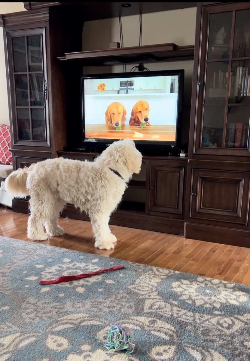 Micheal watching <a href="/tuckerbudzyn/">Tucker Budzyn</a>  being offered Tree of Doom! 🤣🥦
