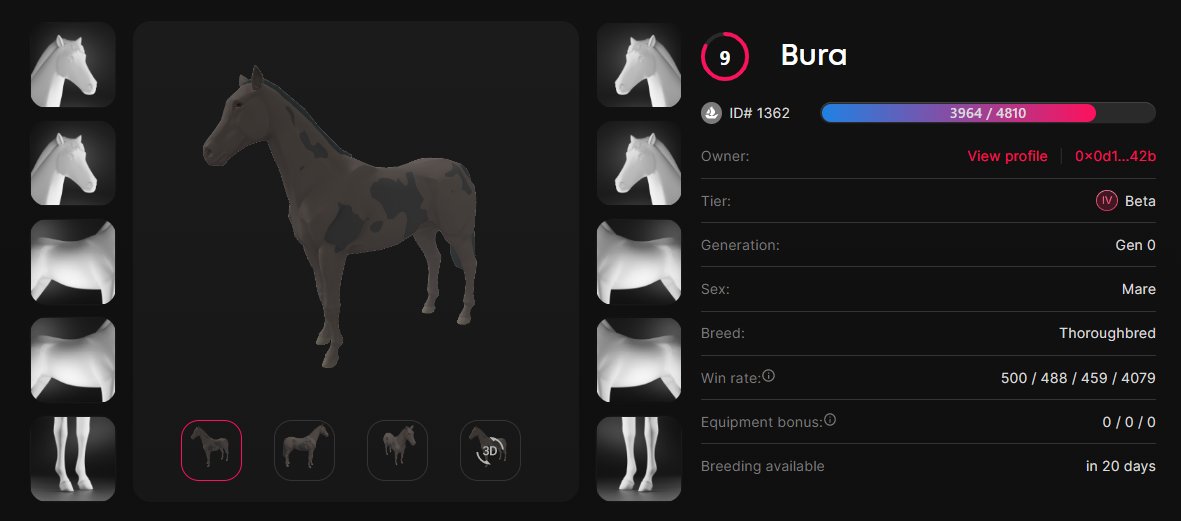 Bura (1362) with her 500th win today!