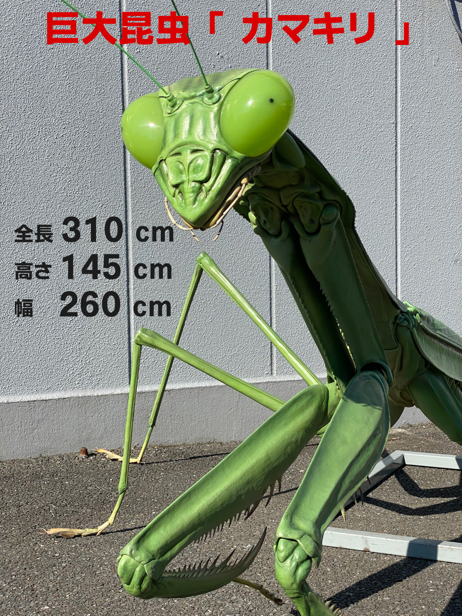 bug1_kama_box.jpg