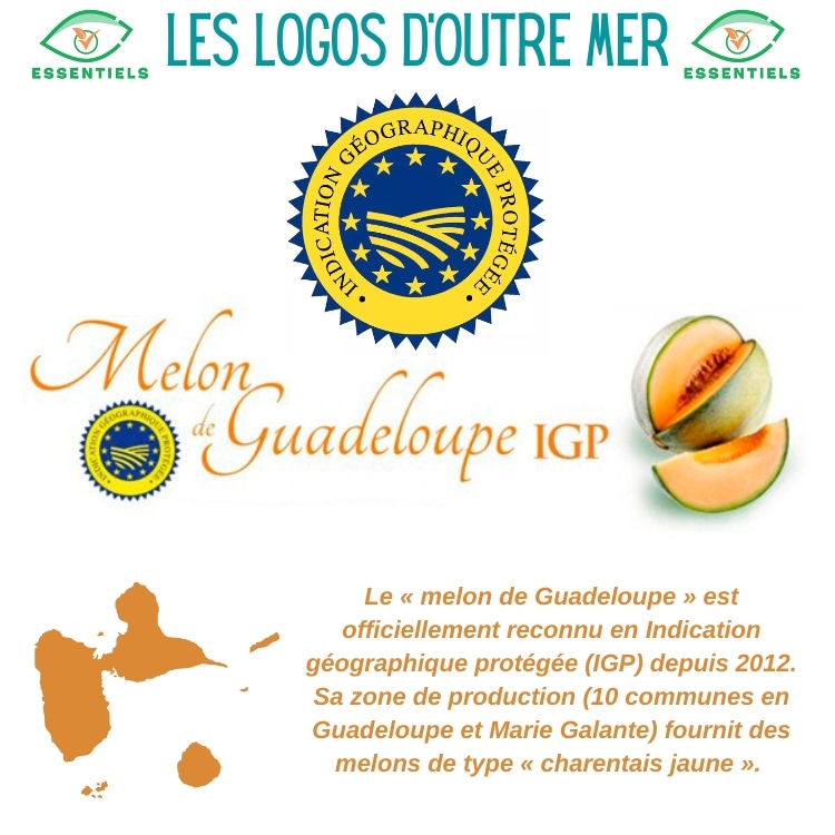 Le melon de Guadeloupe bénéficie d'une Indication Géographique Protégée <a href="/Prefet971/">Préfet de Guadeloupe</a> <a href="/Agri_Gouv/">Ministère Agriculture et Souveraineté alimentaire</a> @lesoutremer #melon #outremer #guadeloupe #igp