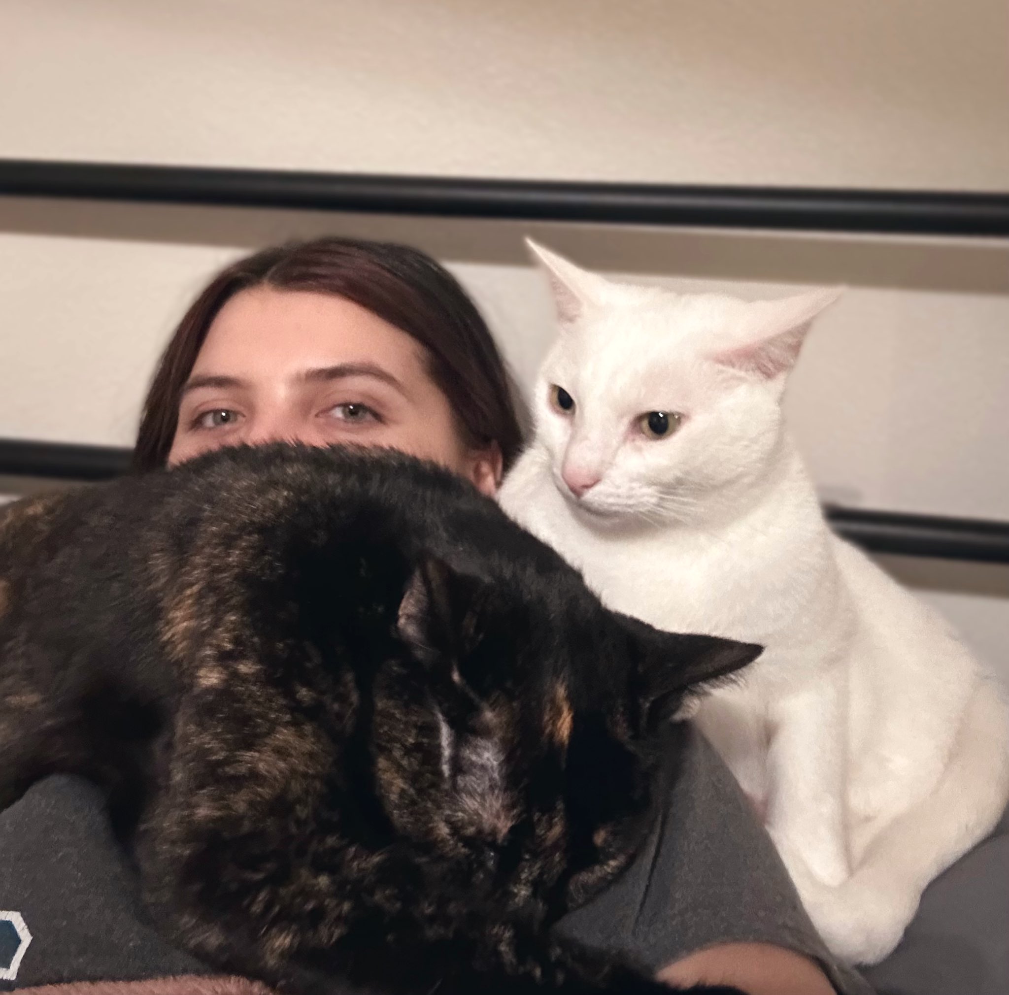 muscle-mother-on-twitter-they-were-fighting-over-who-got-snuggles