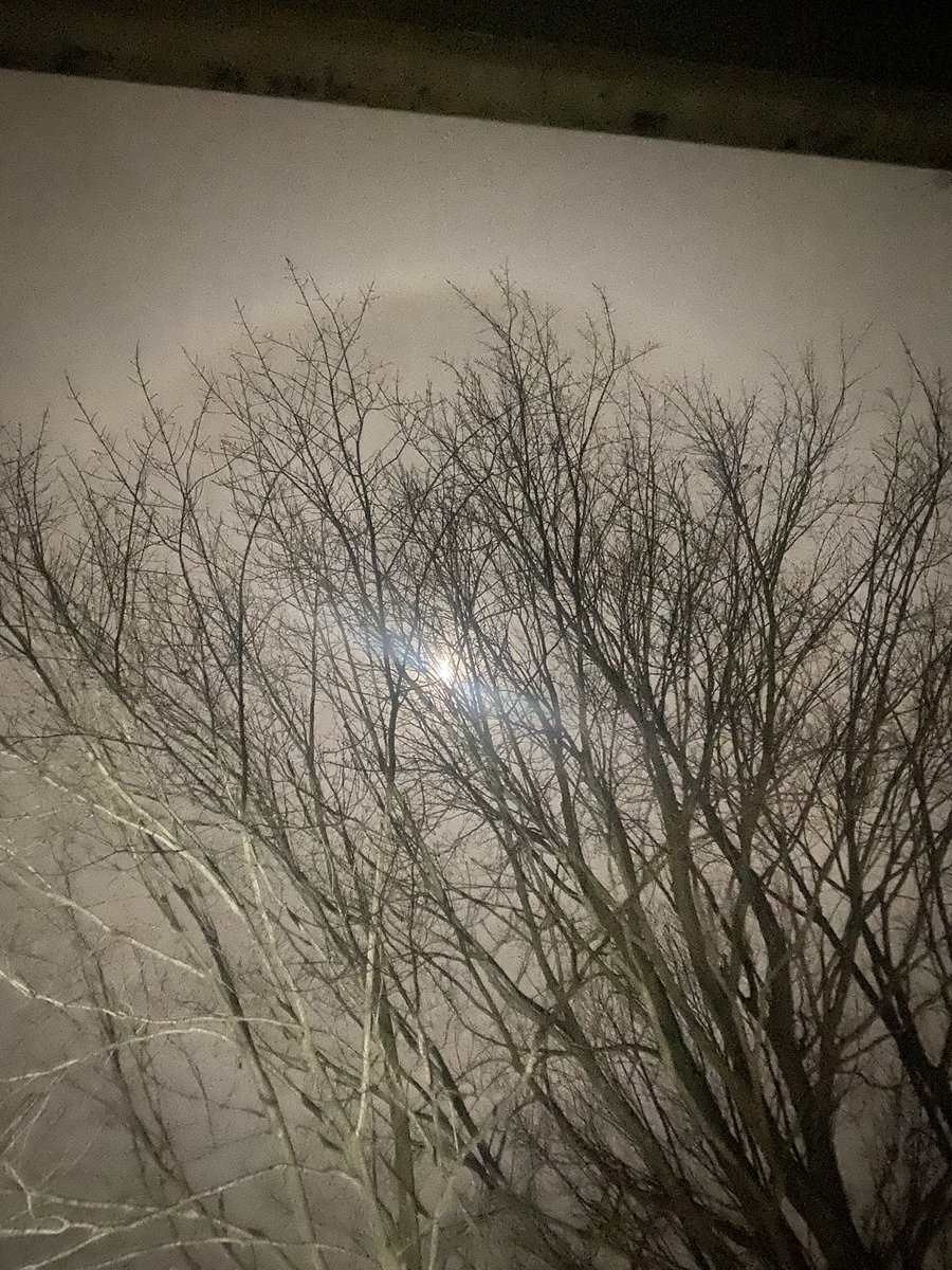 Ann_WJ's tweet photo. Captivating moon tonight for the #MarineCorps #birthday. I’ve never seen a halo quite like this!
#USMC247 #Marines #moon @TheRealBuzz @NASA @AstronomyMag https://t.co/kH8TTPAlKE