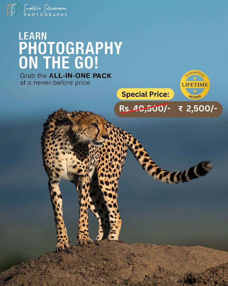 ssp.photo/video
Grab this special offer now!!!