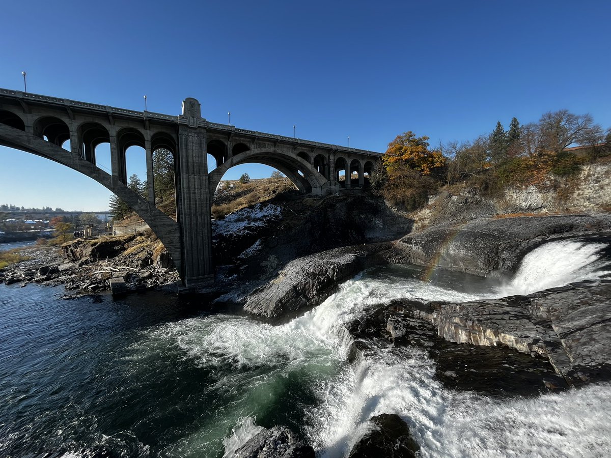 OLappin's tweet image. First conference presentation ✔️ such a fantastic time hanging out with the MSU crew and getting to meet so many amazing new people! #TWS2022 @mark_wildlife1 @KristineEvans78 @RB_Iglay