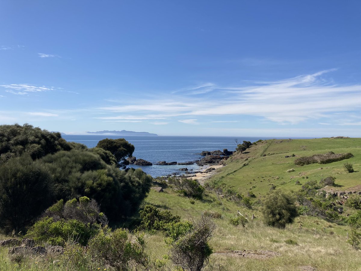 Dr Carly Rosewarne tweet media