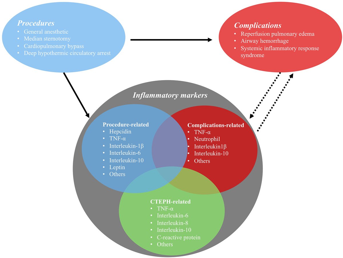 RCMjournal's tweet photo. #RCM - Vol. 23 No. 11
💐Review
Peri-Operative Changes of Inflammatory Markers and Their Implications in Pulmonary Endarterectomy
 
#PulmonaryEndarterectomy #PEA #CTEPH #inflammation #perioperative

Full text:
https://t.co/Tmx5nJzKFA https://t.co/3xHgJMr1py