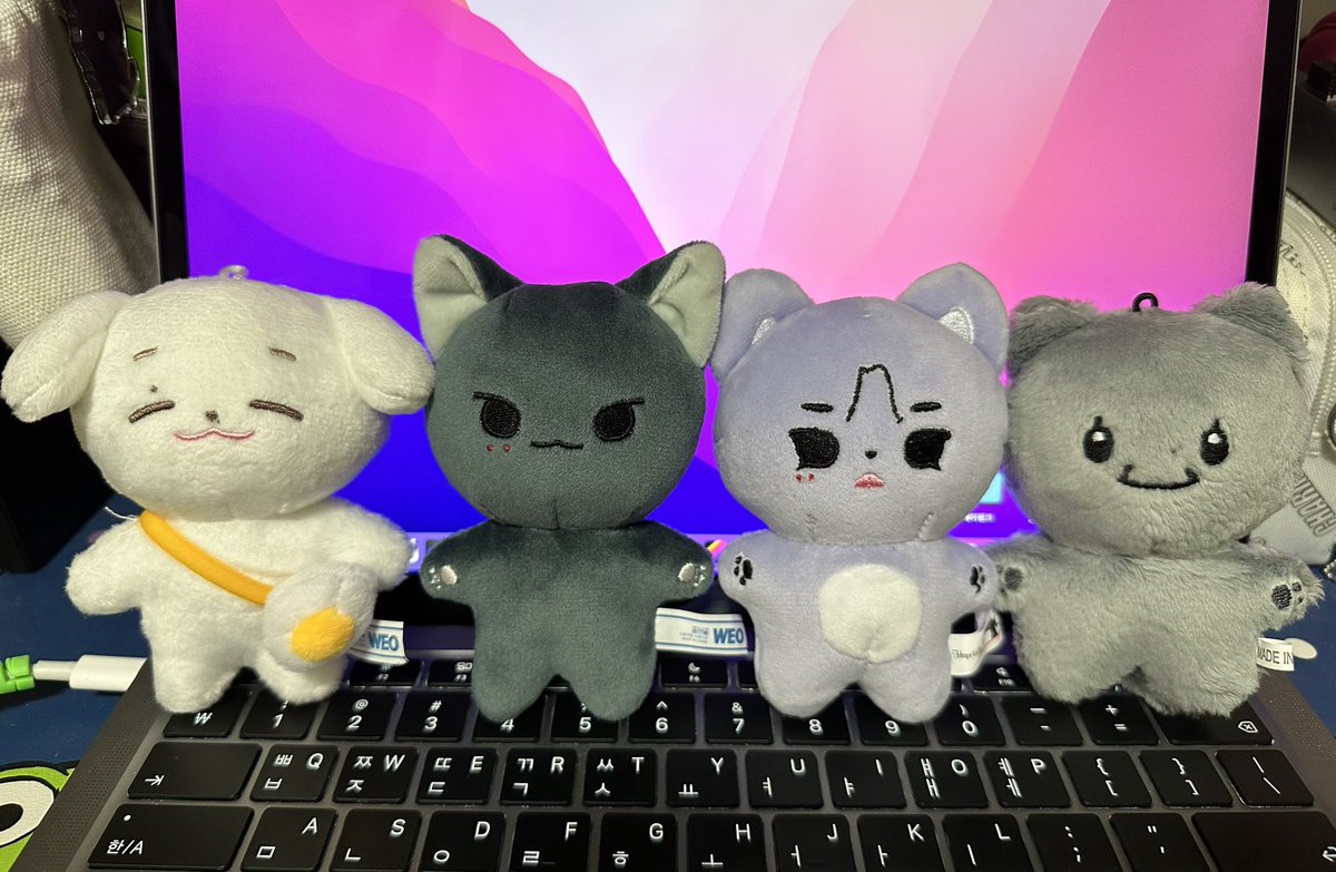 빕냥이 도착!! 너무 귀여워ㅠㅠㅠㅠㅠ10센치 친구들 많이 생겼넹💗