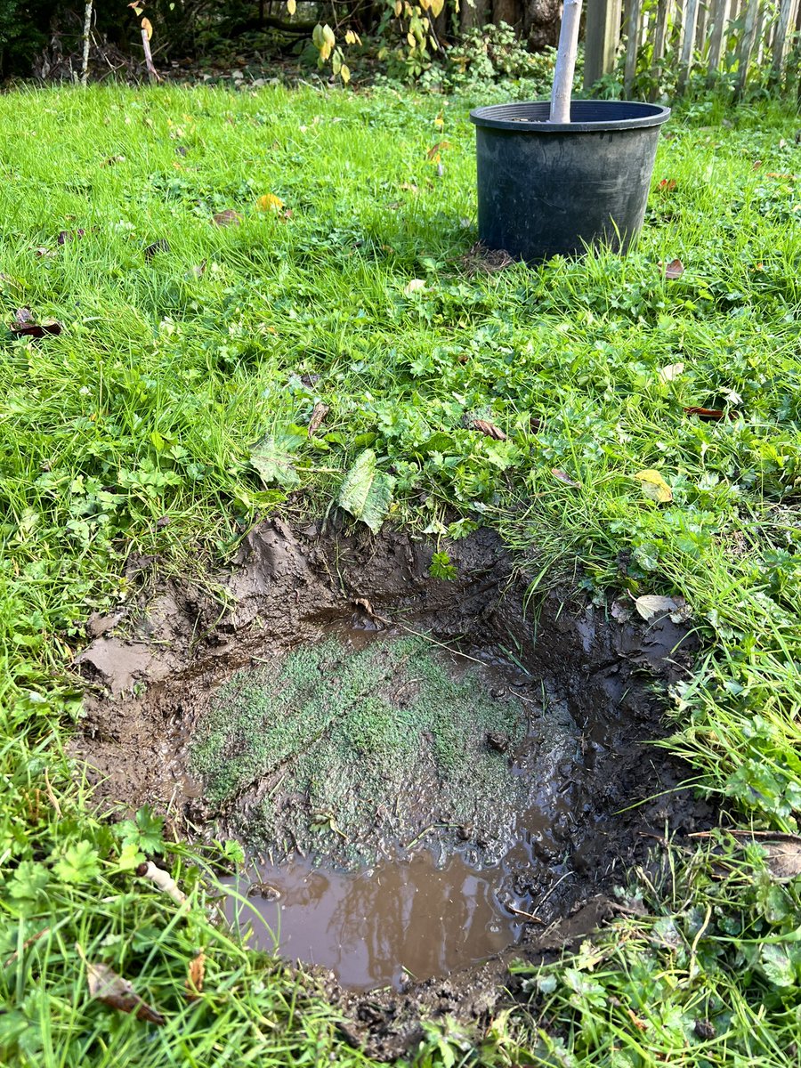 griduino's tweet image. TFW you try to dig a hole to plant a tree… and run into buried indoor/outdoor carpet. Wtf? lol