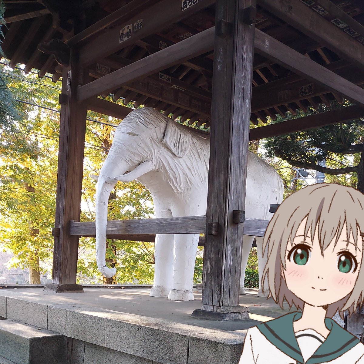 kiku1128s's tweet photo. がっこ、よりみち！
#ヤマノススメ https://t.co/s0bGzFvsJT