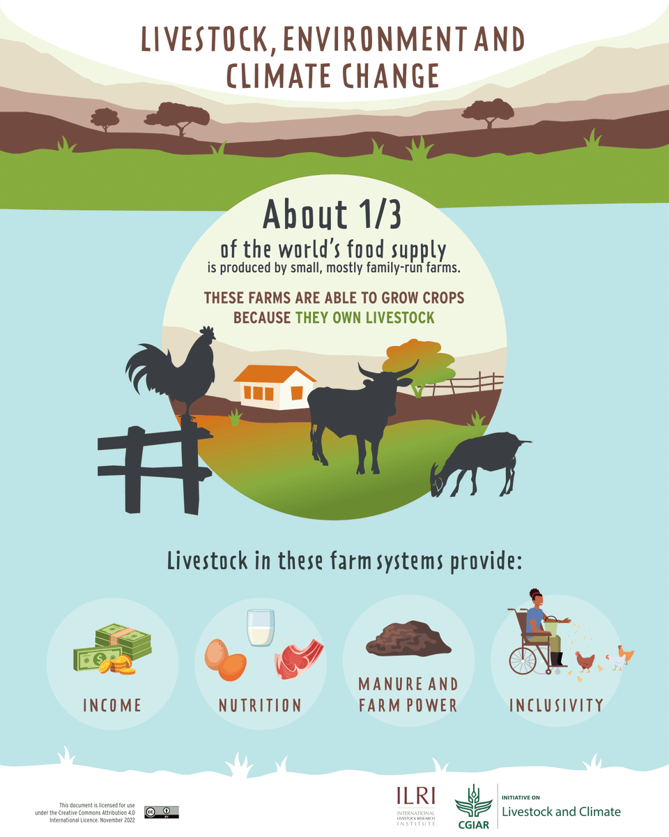1/5 Here's the first of our 5 key messages on livestock, environment &amp; climate change! 

And a question to kick things off. How is the anti-meat narrative affecting livestock keepers in the Global South? #LetsTalkLivestock