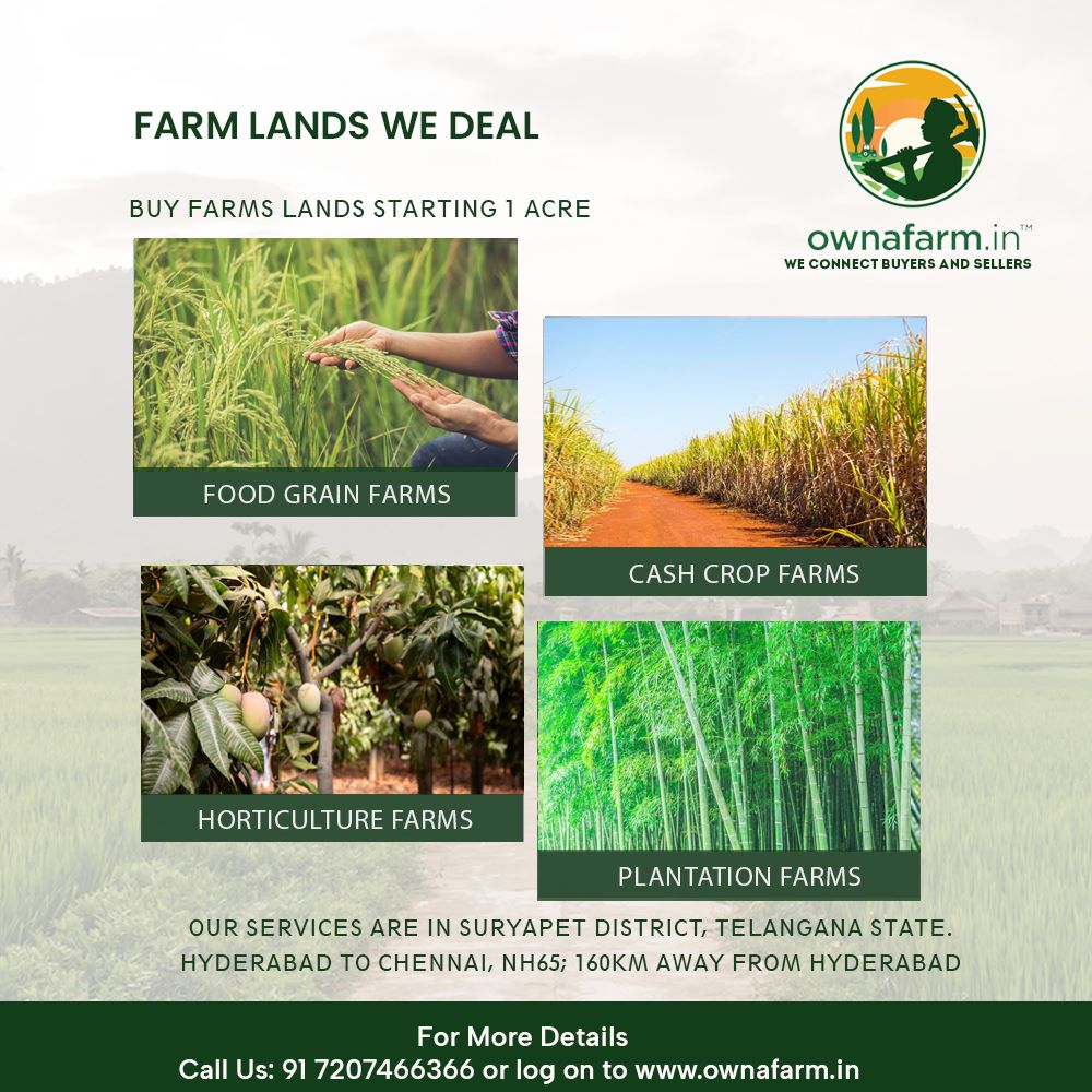 ownafarm's tweet image. A farm is a place where you can live a life directly connected to nature.  check our bio for more information
#ownafarm #cashcrop #foodgrain #horticulture #plantation #farms #greenfarm #farmlands #sustainableliving #realestate #nature #ecoliving #farmlife #smartinvestment #smart