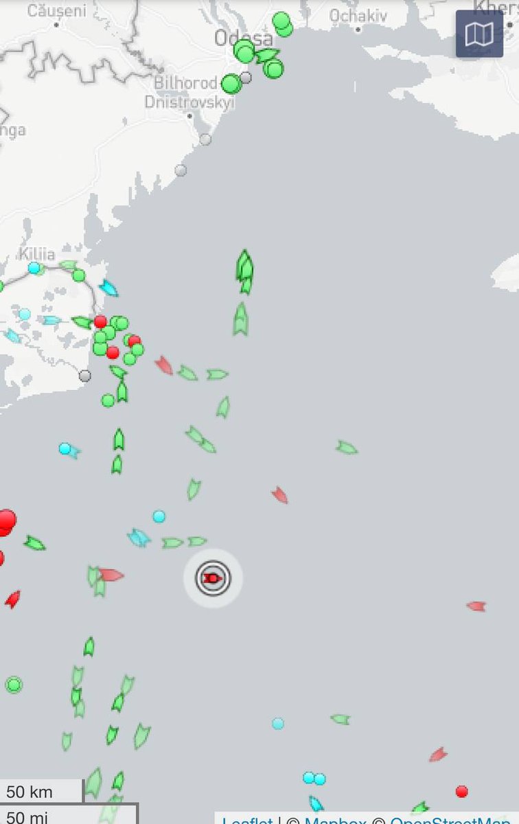В Украину направляется один из самых крупных караванов судов за последнее время

🔗оружие везут