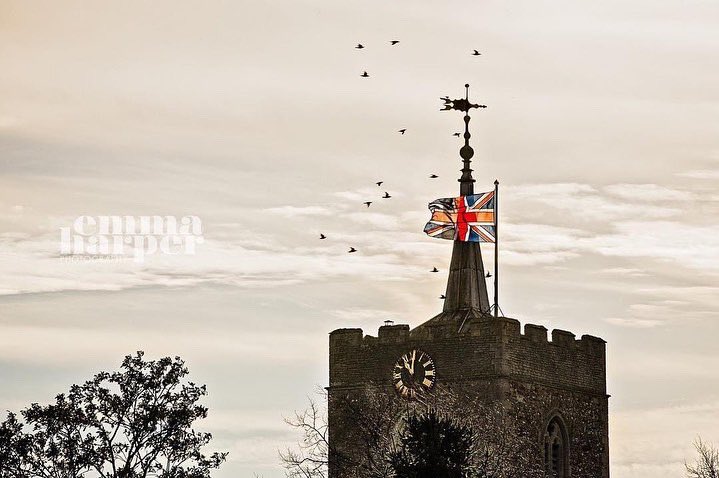 EmmaHarper_Phot's tweet photo. The end of hostilities of #WW1 on 11th hour of the 11th day of the 11th month.

* My Great-granduncle Pte William Doy, #NorfolkRegiment Great Ryburgh, died in battle 22yrs old on 22.10.1917 #Passchendaele 

RIP to all the fallen heroes in distant wars &amp; conflicts.  

#flanders https://t.co/ETpEXmQLIv