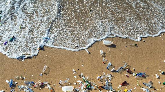 Vida_Verda's tweet photo. El que més trobem a les platges són restes de gespa artificial dels camps de futbol. Ho diu Sergi Franch @cats_ocean amb Daniel Romaní @Viena_Edicions i Toni Mora @CTESC analitzen la primera línia de mar en patí de vela o rem oceànic #microplastics2022 📻https://t.co/zRromH6e1V https://t.co/Uzhm2REnt4