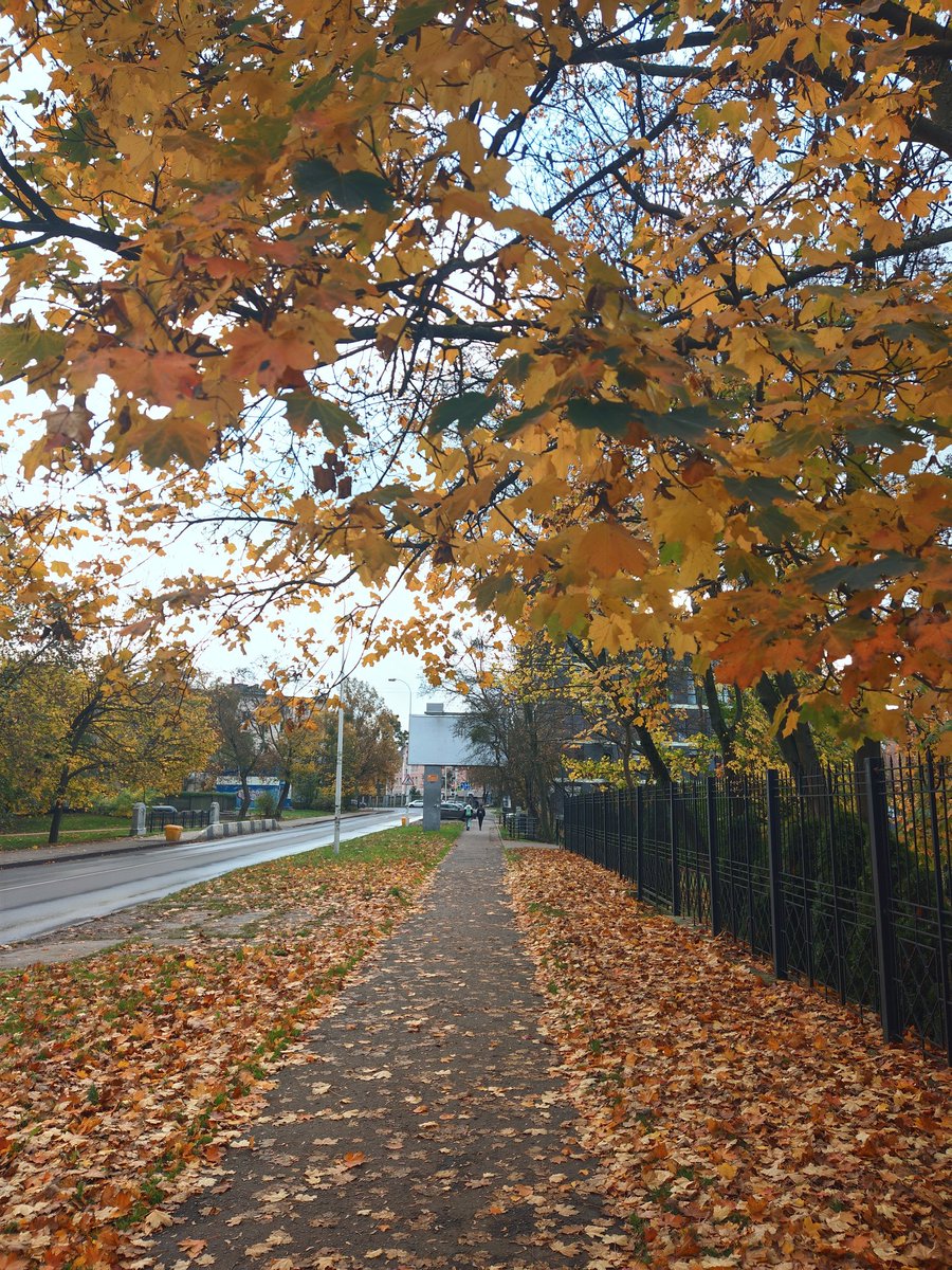 MARIA MILLER ✨ #NFTNYK2024 tweet media