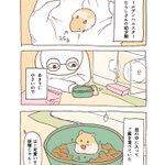 可愛すぎる!幼少期の頃とその半年後、それぞれの食事の様子を描いたハムスター漫画が話題に!