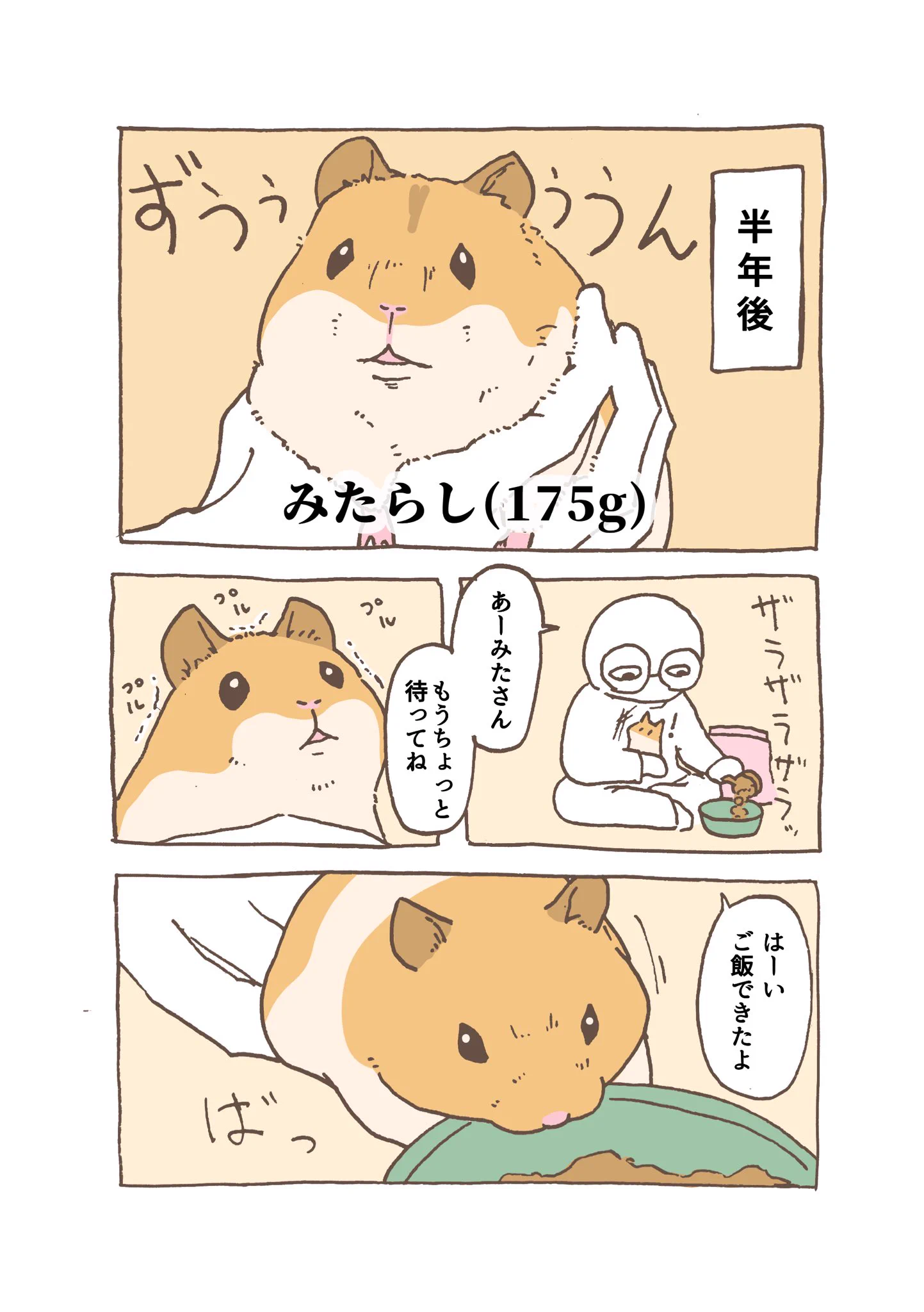 可愛すぎる！幼少期の頃とその半年後、それぞれの食事の様子を描いたハムスター漫画が話題に！