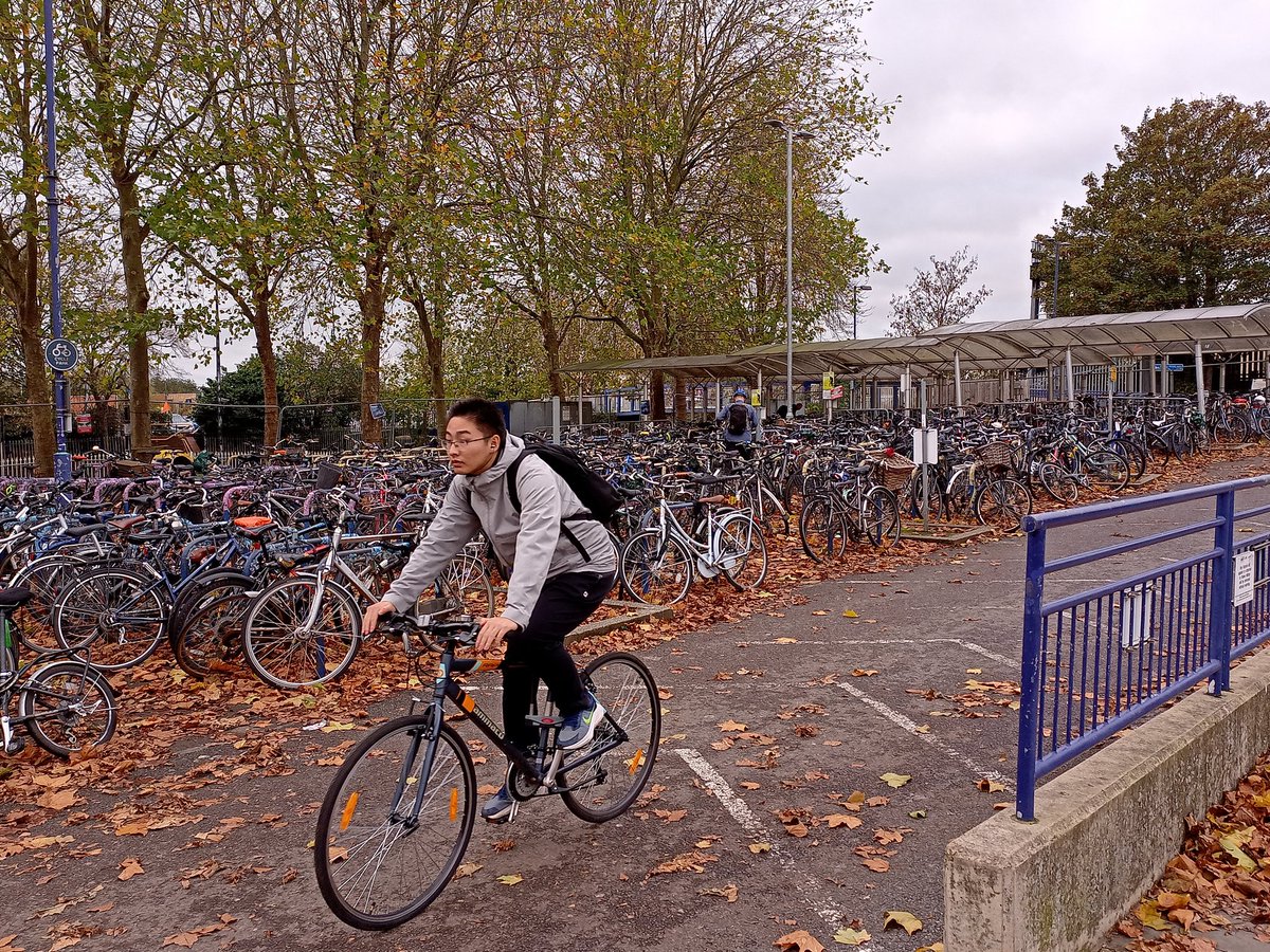 Nick Bearman tweet media