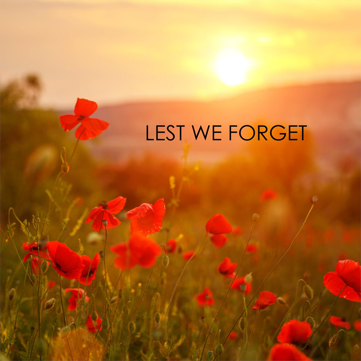 NIC would like to join our colleagues and those throughout the industry and beyond in remembering our fallen.

From Flanders Field to Ukraine and all the wars in between, they gave their tomorrow for our today. 

We remain forever thankful for their sacrifice.

Lest we forget.