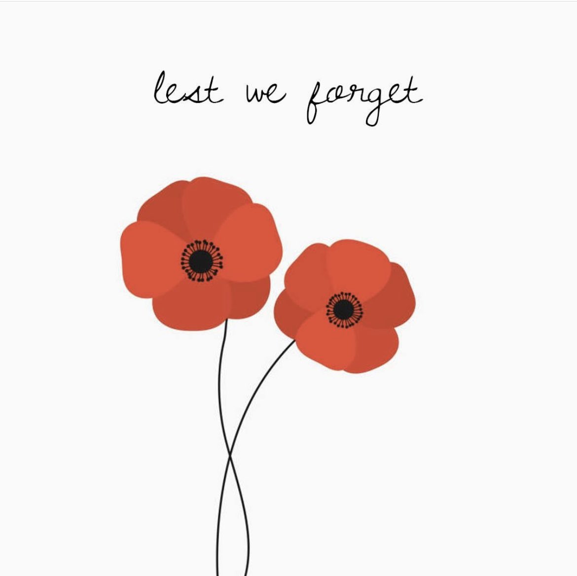 On this day we remember those that made the ultimate sacrifice for our country. 

least we forget. 

#RemembranceDay2022 🌹