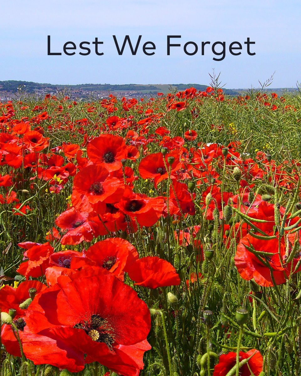 We will remember them. We want to thank all the reservists and veterans for their service to our country.

#LestWeForget #rememberanceday #rememberanceday2022