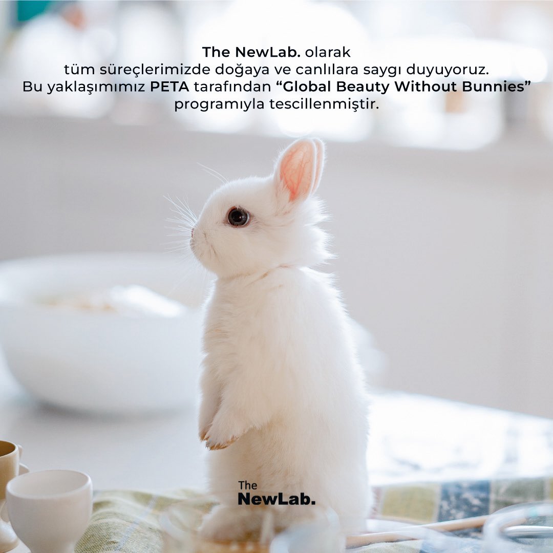 NewlabThe's tweet photo. Cildini koruduğumuz gibi küçük dostlarımızı da koruyoruz! 💚 The NewLab. olarak hiçbir ürünümüzün üretim aşamasında canlı dostlarımızı kullanmıyoruz. 🐰
#TheNewLab #CrueltyFree #Vegan #CiltBakımı #YenilenmeZamanı #Peta #GlobalBeautyWithoutBunnies https://t.co/ahlpD5YrcA