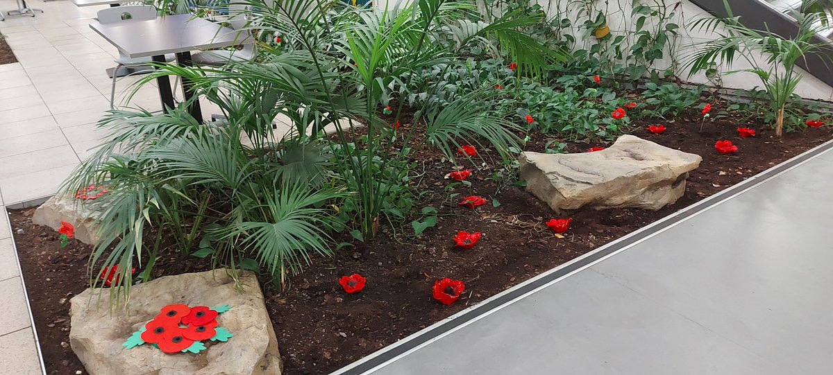 LA_Longfield's tweet photo. Today, the entire Longfield Academy community comes together to mark Remembrance Day. https://t.co/65gzSqn3dF