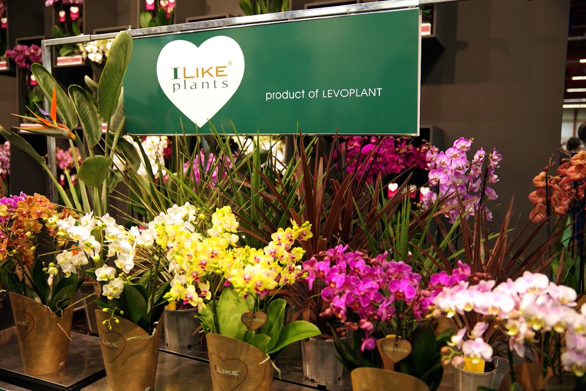 Trade Fairs by Royal FloraHolland tweet media