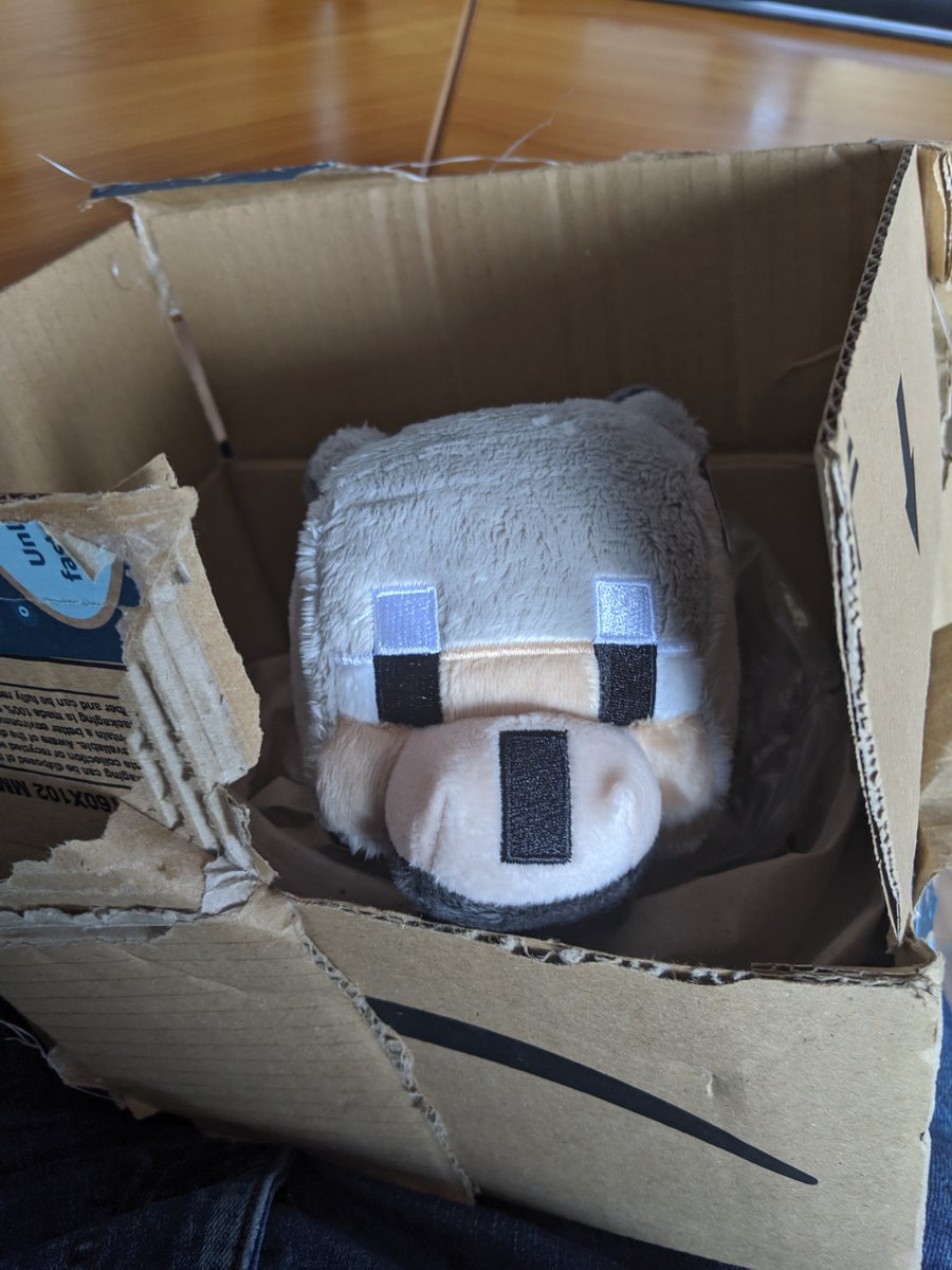 Nun ist null genau 3 Jahre alt 😍😍😍Er sieht noch genauso cute wie damals aus