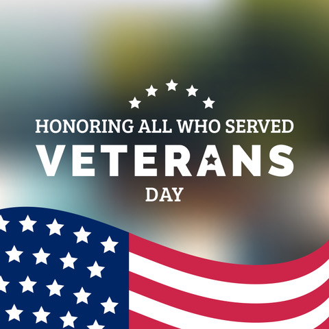Lab_Ready's tweet photo. Happy Veterans Day to our soldiers, both past and present. We owe you our thanks, but more than that, we owe you our freedom. LabReady is proud to be a Veteran-owned business. https://t.co/0DobuoLVeK #labready #Veteran #VeteransDay #military #veteransupport #veteranas #us #usnavy https://t.co/X8z5WAdAan