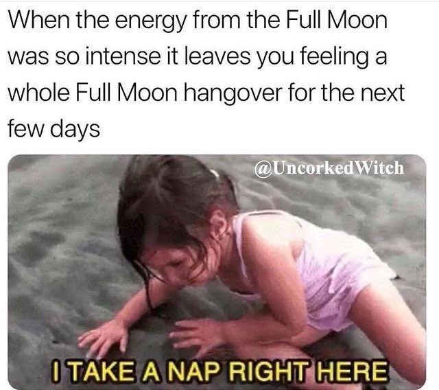 Still Feeling IT! 😆🤣🤣🤣 #spiritualmemes #Spirituality #SPIRITUAL #MEMES #funny #laughs #FullMoon #hungover #energy #funnymemes #spiritualawakening #enlightenment #laughter #JoyOfLife #BeHappy #PositiveVibes #positive #love #light #life #Live #LOVELIFE #Inspiration #motivation